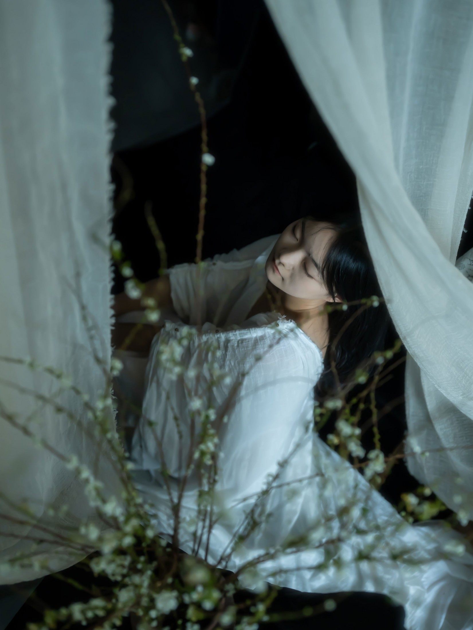 图片[1]-– 《雪柳》[10P]-蜜私库