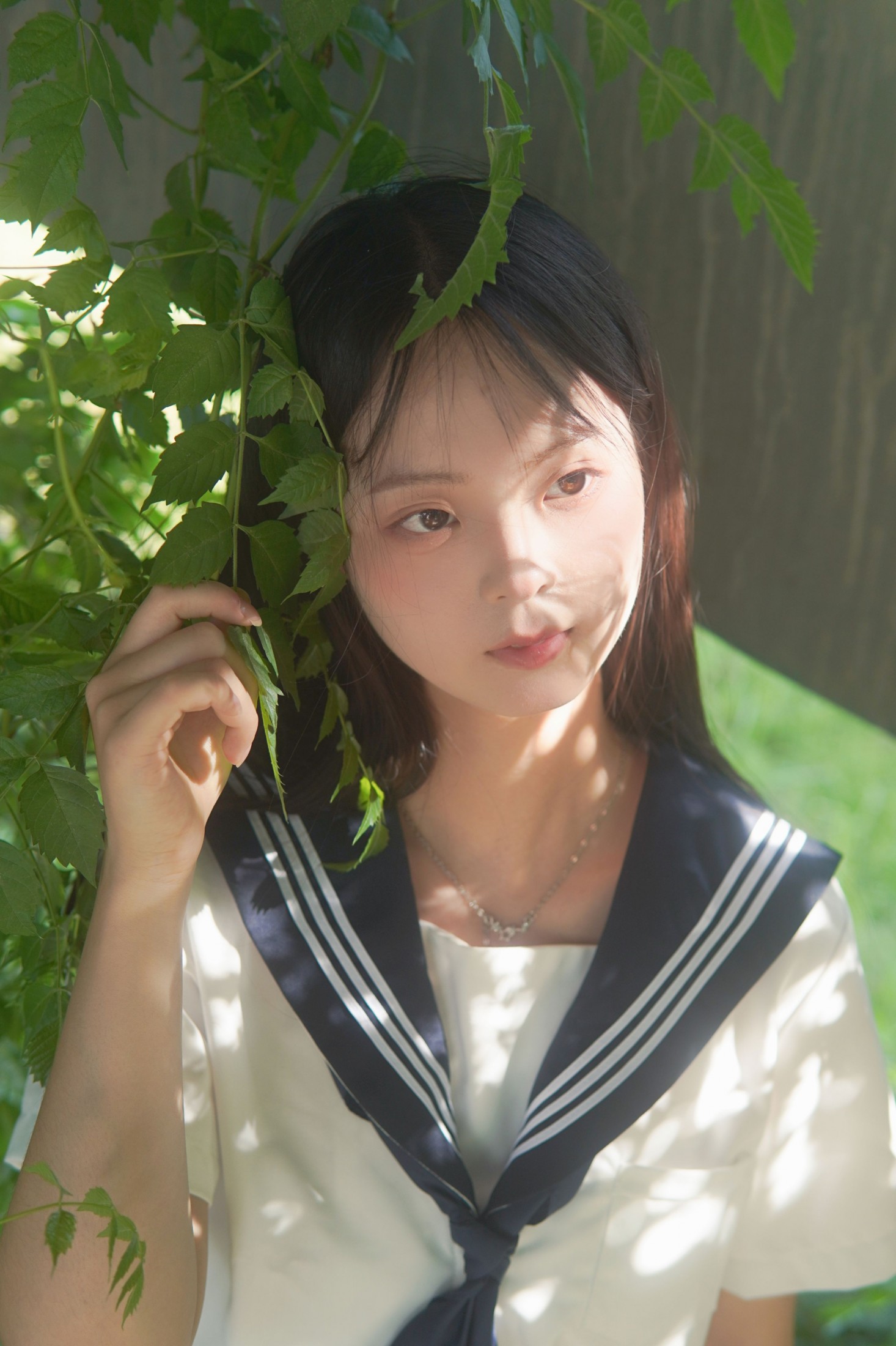 图片[1]-– 《凌霄花开》[12P]-蜜私库